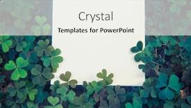  Presentation with clover - Slide set having empty-paper-white-list-mockup background and a  colored foreground