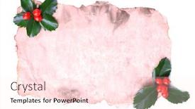  Presentation with holly - Cool new presentation theme with empty paper with european holly ilex aquifolium with berries isolated on white backdrop and a pink colored foreground