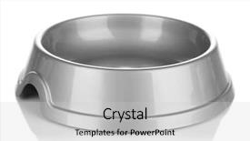  Presentation with pets - Slide set featuring empty pets bowl isolated background and a light gray colored foreground