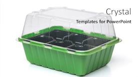  Presentation with seedling - Slide set consisting of empty-plastic-seedling-box background and a white colored foreground