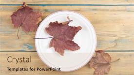  Presentation with restaurant menu - PPT theme consisting of empty-plate-bowl-with-autumn background and a coral colored foreground