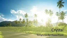  Presentation with jungle - Amazing slide deck having empty road in jungle backdrop and a yellow colored foreground