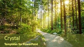  Presentation with forest morning - PPT theme featuring empty-road-through-forest background and a tawny brown colored foreground