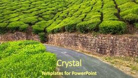  Presentation with hill road - Beautiful presentation theme featuring empty road through tea plantations backdrop and a tawny brown colored foreground