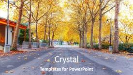  Presentation with road yellow - Colorful PPT theme enhanced with empty road with yellow fallen leaves backdrop and a gray colored foreground