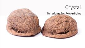  Presentation with walnut - Audience pleasing slide set consisting of empty-shell-of-walnut-isolated backdrop and a white colored foreground