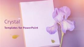  Presentation with iris flower - Presentation enhanced with empty-space-white-list background and a pink colored foreground