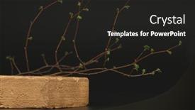  Presentation with minimal - Slides having empty-texture-gold-stone-platform background and a dark gray colored foreground