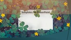  Presentation with clover - PPT theme with empty-white-paper-list-horizontal background and a coral colored foreground