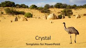  Presentation with western - Amazing PPT layouts having emu walking through the pinnacles backdrop and a yellow colored foreground