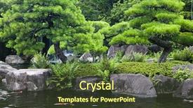  Presentation with koi fish from japan - Colorful PPT theme enhanced with en gardens pond with koi backdrop and a tawny brown colored foreground