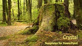  Presentation with rain - Cool new PPT layouts with enchanted - mossy old tree stump backdrop and a tawny brown colored foreground
