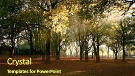  Presentation with misty - Colorful slides enhanced with enchanted forest - beautiful misty morning showing warm backdrop and a tawny brown colored foreground