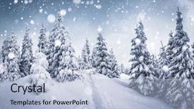  Presentation with new year card - PPT layouts with enchanted forest - frozen white spruces background and a light blue colored foreground