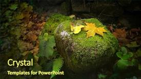  Presentation with scene - Colorful PPT layouts enhanced with enchanted forest - idyllic autumn scene with fallen backdrop and a tawny brown colored foreground