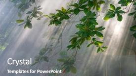  Presentation with campfire - Slides featuring enchanted forest - rays of sunlight and campfire background and a gray colored foreground