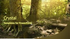  Presentation with bright - Slide deck enhanced with enchanted world - great mysterious forest background and a tawny brown colored foreground