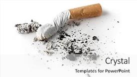  Presentation with cigarette - Amazing slides having end life care - cigarette butt with ash isolated backdrop and a white colored foreground