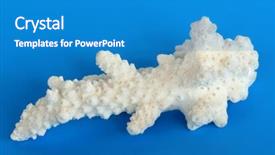  Presentation with dark blue gradient blue - Presentation featuring endangered corals - piece of white coral background and a  colored foreground