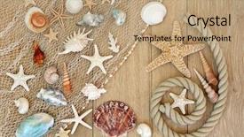  Presentation with sea shell - Slide set consisting of endangered corals - sea shell abstract background background and a coral colored foreground