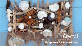  Presentation with seaweed - Audience pleasing presentation theme consisting of endangered corals - sea shell seaweed pearl backdrop and a violet colored foreground