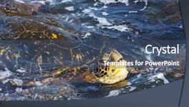  Presentation with hawaiian - Amazing slides having endangered corals - sea turtle on hawaiian beach backdrop and a ocean colored foreground