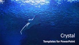  Presentation with under water - Colorful presentation design enhanced with endangered corals - shark swimming under the clear backdrop and a navy blue colored foreground