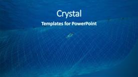  Presentation with net - Presentation design having endangered corals - squirrelfish is caught background and a dark gray colored foreground