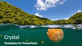  Presentation with jellyfish - Slide set having the republic of palau background and a ocean colored foreground
