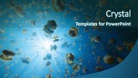  Presentation with lake fish - Theme having jelly fish - underwater photo of endemic golden background and a  colored foreground