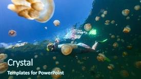  Presentation with lake fish - Slide set with jelly fish - underwater photo of tourist woman background and a  colored foreground