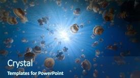  Presentation with lake fish - PPT layouts having fish water - underwater photo of endemic golden background and a ocean colored foreground