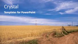  Presentation with sky blue - Presentation theme featuring endless-wheat-field-against background and a teal colored foreground