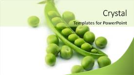  Presentation with bunch of green peas - Presentation with endo - fresh green peas isolated background and a soft green colored foreground