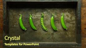  Presentation with wood rustic - Beautiful PPT layouts featuring endo - fresh harvested green peas backdrop and a tawny brown colored foreground