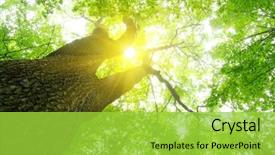  Presentation with green energy - Amazing slide set having energy - green forest background backdrop and a yellow colored foreground