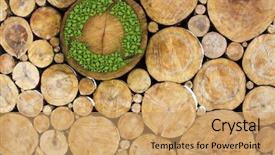  Presentation with recycle - Audience pleasing PPT layouts consisting of energy - stacked logs with recycle symbol backdrop and a coral colored foreground
