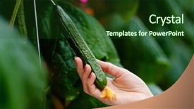  Presentation with greenhouse farm - Beautiful slides featuring energy biological - cucumber farm inside modern greenhouse backdrop and a forest green colored foreground