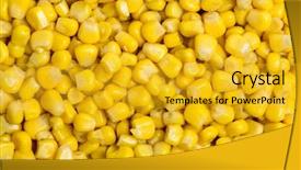  Presentation with corn - Colorful PPT layouts enhanced with energy drink cans - cooked corn texture or background backdrop and a gold colored foreground