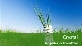  Presentation with green energy - PPT theme consisting of energy-efficient spiral bulb background and a forest green colored foreground