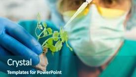  Presentation with plant chemistry - Cool new PPT theme with energy green chemistry - scientist holding diseased plant focus backdrop and a ocean colored foreground