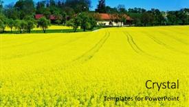  Presentation with space time - Slide set with bioenergy - eion yellow rape field background and a gold colored foreground