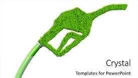  Presentation with white green - PPT theme consisting of assortment of exotic fruits on black background background and a tawny brown colored foreground