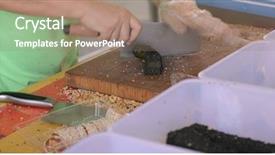  Presentation with peanut - Slide set with energy storeg - cutting peanut snack candy background and a  colored foreground