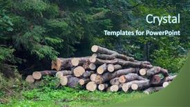  Presentation with forest - Cool new theme with energy storeg - wooden logs store in forest backdrop and a tawny brown colored foreground