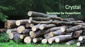 Presentation with forest - Slide deck featuring energy storeg - wooden logs stored in forest background and a tawny brown colored foreground