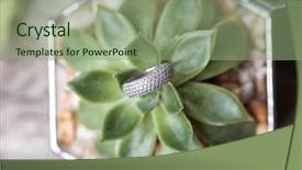  Presentation with green industries plant - Presentation theme having engagement ring on green plant background and a seafoam green colored foreground