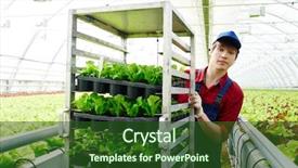  Presentation with engineering - PPT theme with engineer pushing cart with green background and a forest green colored foreground