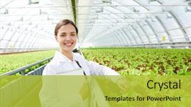  Presentation with lettuce - Cool new presentation theme with engineering - young successful agro-engineer standing backdrop and a yellow colored foreground