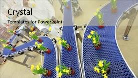  Presentation with conveyor belt - PPT theme having engineering mass - flowers daffodils on conveyor belt background and a soft green colored foreground